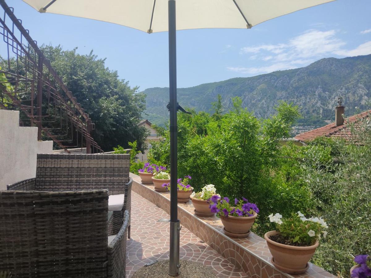 Apartments Feniks Kotor Zewnętrze zdjęcie