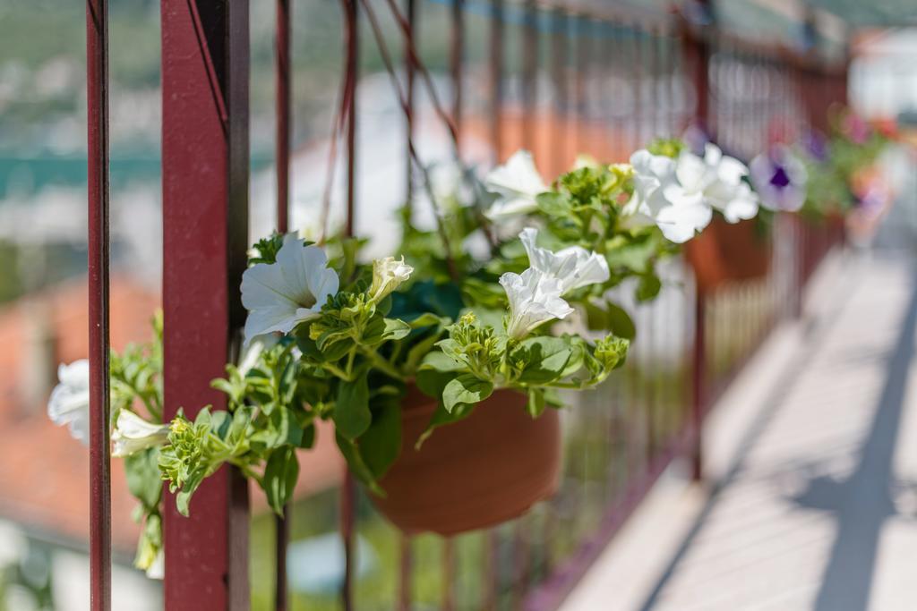 Apartments Feniks Kotor Zewnętrze zdjęcie